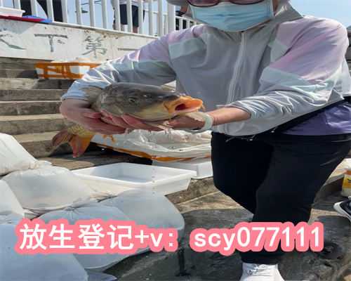 4月8放生，8月份出生是什么星座？