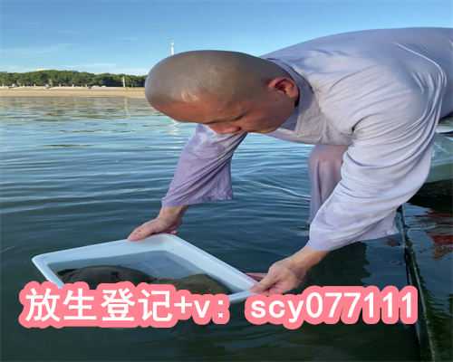 <strong>郑州放生乌龟在哪里，郑州市民在黄河边拍到鳄鱼或有人放生</strong>