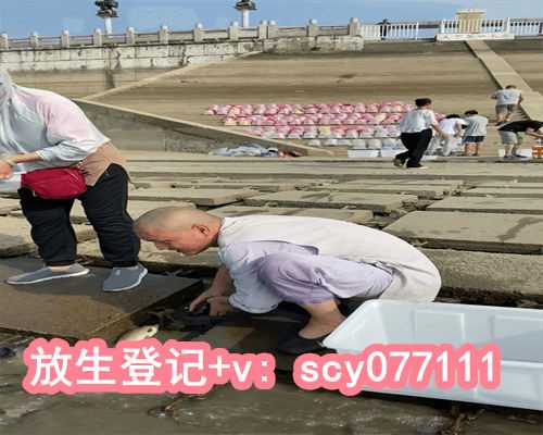 <strong>放生鱼代表什么数字，星座星盘中第1到9宫个代表什么？各个星星代表什么？各</strong>