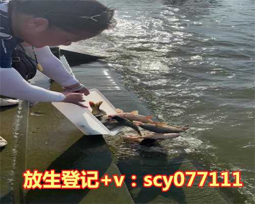 甲鱼放生河里能活吗，澧河水质正常，死鱼为少量放生鱼