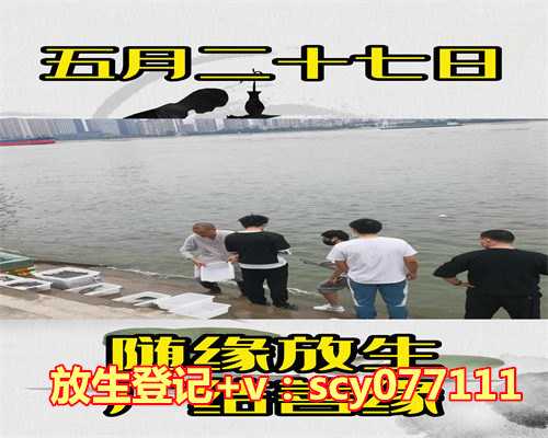 冬天适合放生小鸟吗，被放生小鸟飞不高专家：不科学放生等于杀生