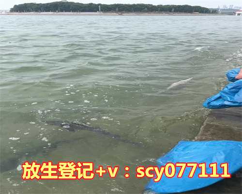 北京放生的地方都有哪些，【新春游北京】30个北京情调自习室