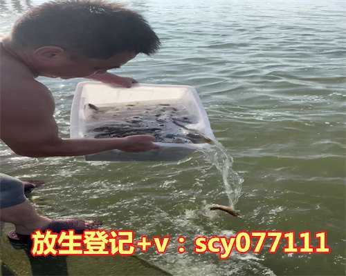 珠江适合放生什么鱼，秋天适合吃什么