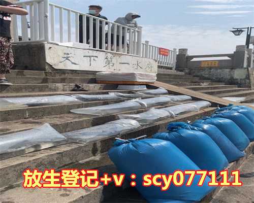 明天适合放生吗，天蝎座和射手座在一起合适吗？