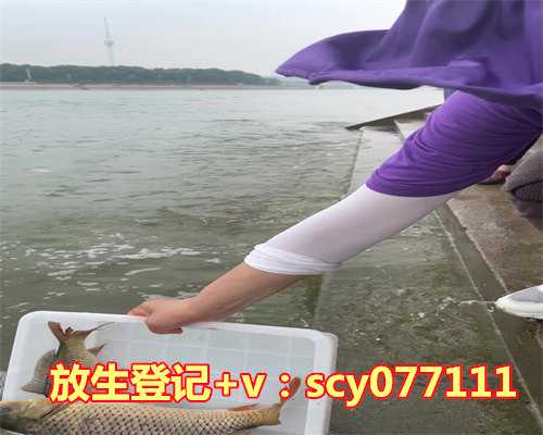 放生田螺求子，夏天是各类蛤蜊、牡蛎、田螺、螺蛳等贝类繁殖旺季，放生效果