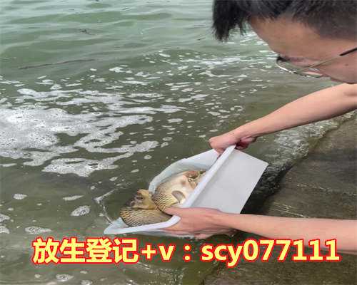 九月放生的日子好不好，买蛇放生好不好