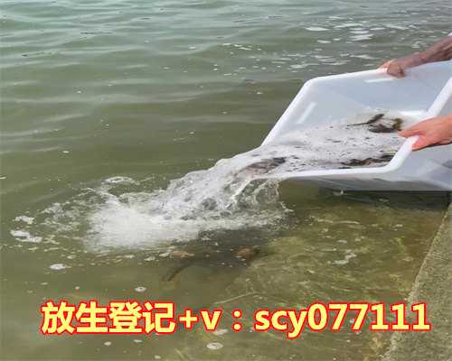 <strong>重庆放生的地点，重庆小吃江津桃仁花糖的做法</strong>