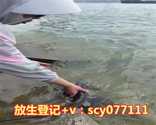 过生日放生鱼几条好，生肖属龙人在几日出生命运最好