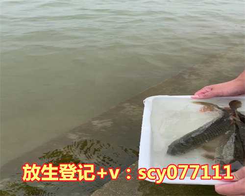 吉林哪里适合放生鳝鱼，吉林市全面封控！