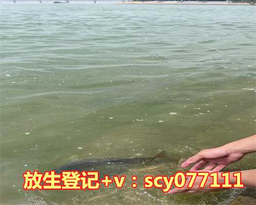 夫妻一起放生功德一样吗，是夫妻就一起把它戒了吧