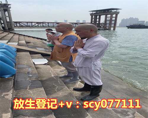 青蛙放生河里可以吗，青蛙爱上老鼠