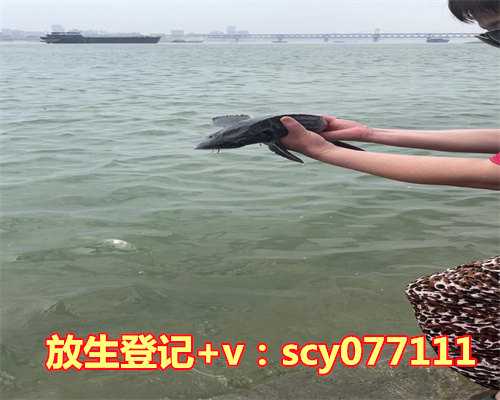 东北放生乌龟能活吗有讲究吗，放生乌龟有什么禁忌没有？比如在龟背上刻字的