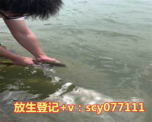 放生黄道吉日查询表，新房装修黄道吉日查询