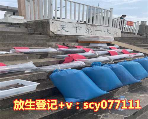 2023年9月乌龟放生吉日时辰，黄历择吉2023年正月入宅最吉利好日子