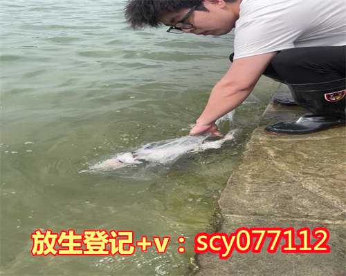 买活鱼放生到河边是什么意思，做梦梦到鱼是什么意思？