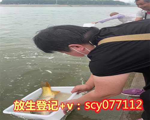 鲫鱼放生的最佳方法，治疗痛风的最佳方法