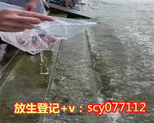 全国放生前三名是谁，放生到底慈悲了谁？