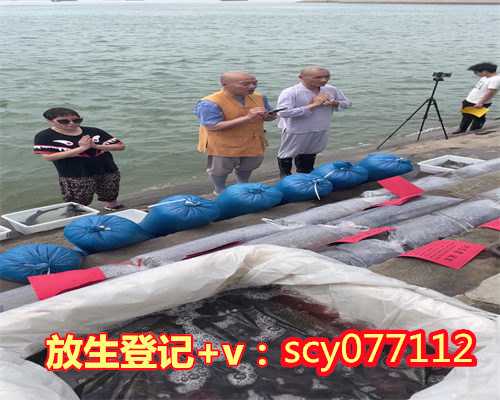 天津哪里可以放生青蛙，天津乐善妙觉院圆满举行盂兰盆节报恩法祈福法会