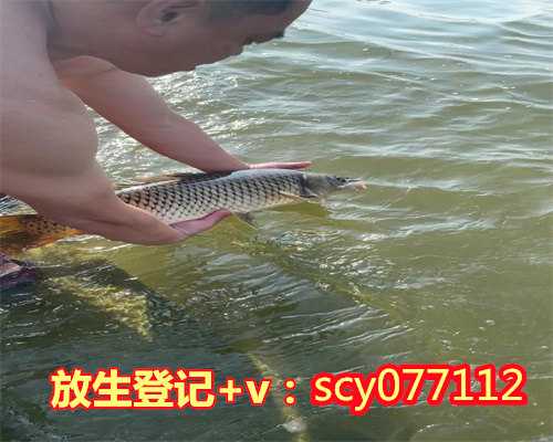 不能放生的动物，科学放生，探究各类放生动物习性