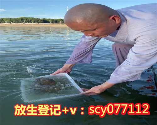 买鲤鱼放生买几条好呢，算命说要买两条鲫鱼放生