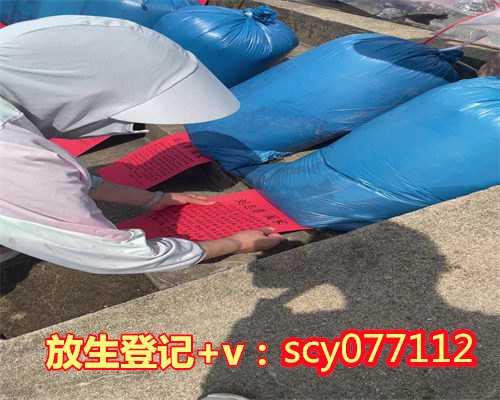 三亚何地可以放生蛤蟆，三亚市民主动联系野保站放生两条家养十余年蟒蛇