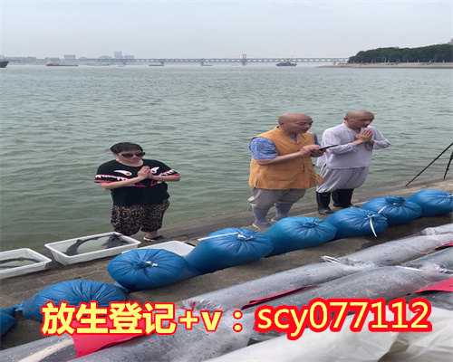 <strong>乌龟放生注意事项有哪些，鼻咽癌术后注意事项有哪些</strong>