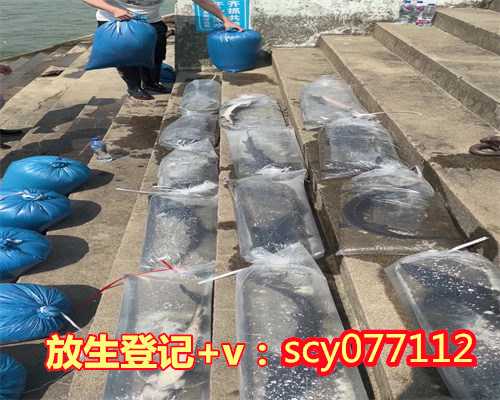 河北何地可以放生蛇，河北大学中医女博士谈邪淫的危害