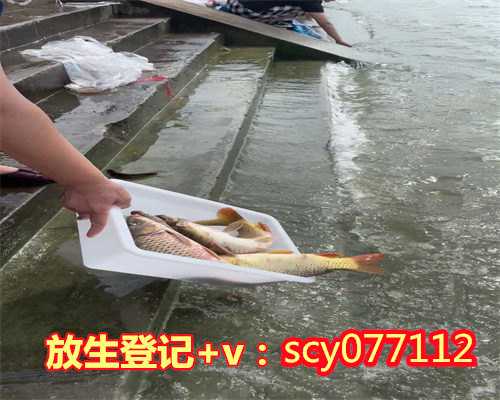 上海哪个寺庙有放生池,上海哪有放生的地方