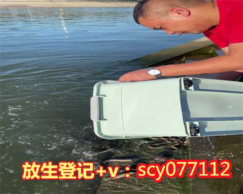 塘沽家里的金鱼放生了吗，放生金鱼的寓意2