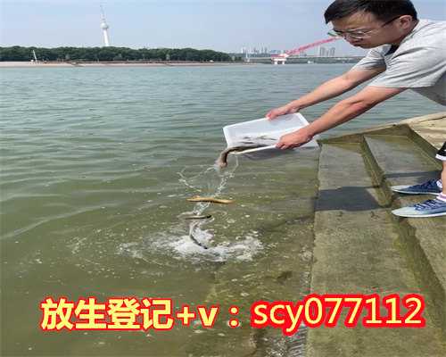 鲤鱼8条放生寓意什么，江南书生放鲤鱼回头江上鱼援助